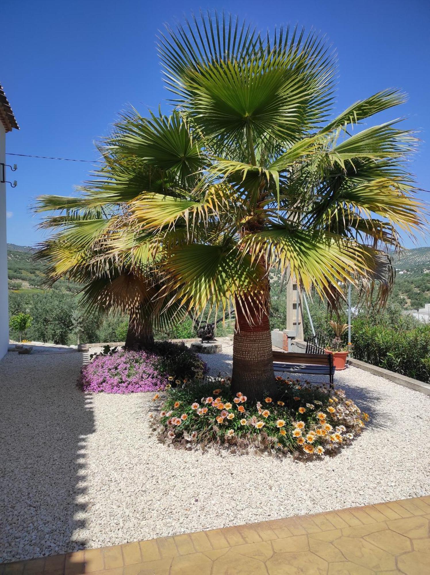 Las Marrojas, Secluded Tudor Country Cottage Algarinejo Exterior photo