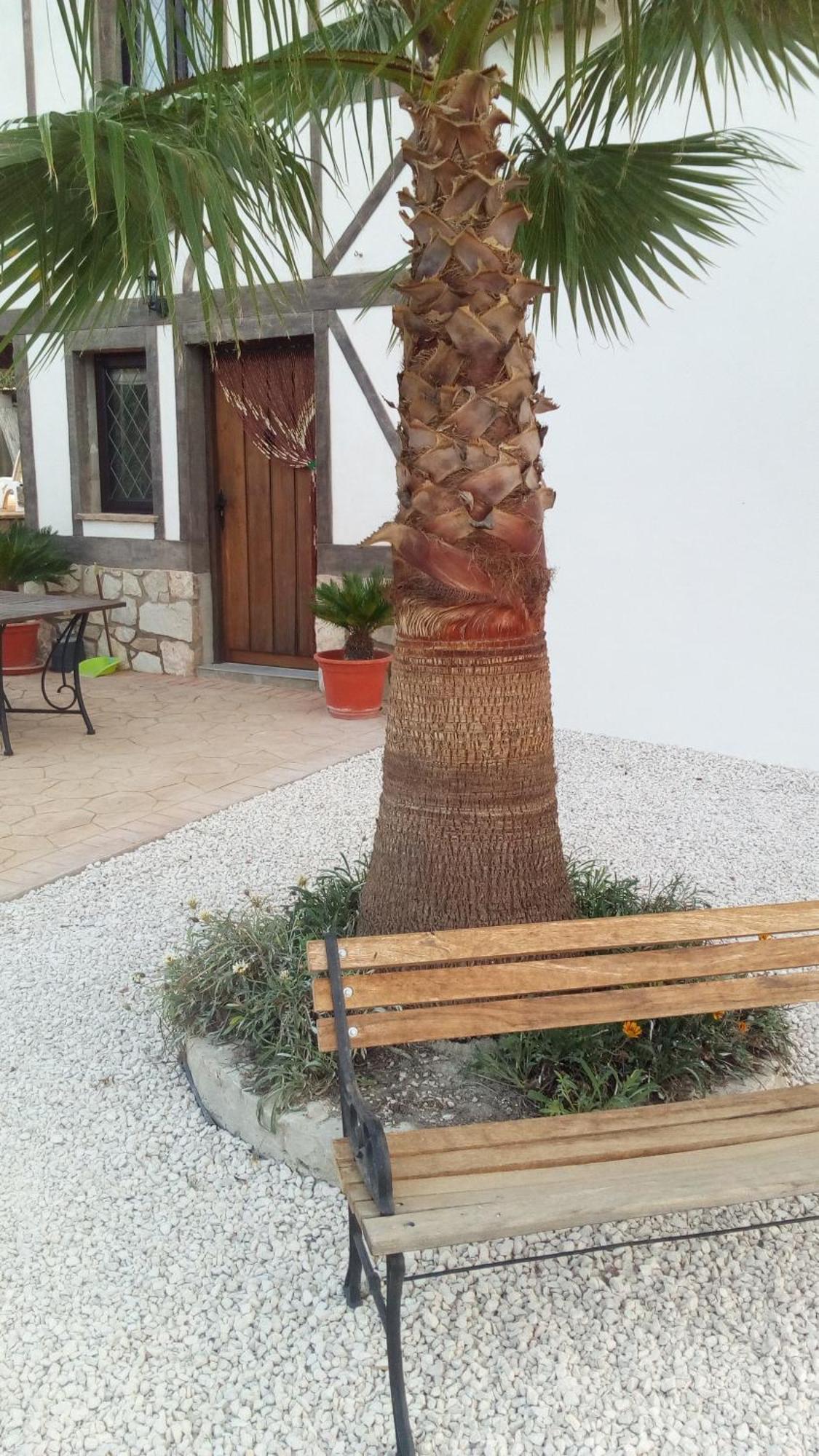 Las Marrojas, Secluded Tudor Country Cottage Algarinejo Exterior photo
